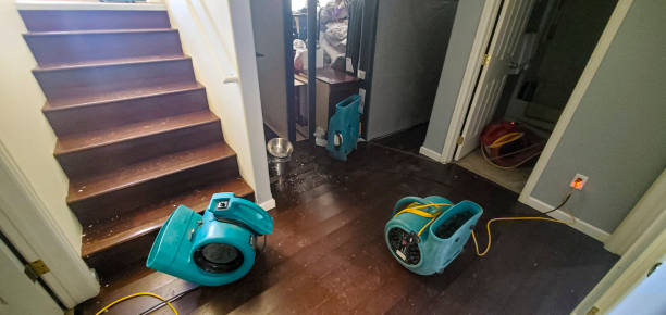 Best 24/7 water damage repair  in Austin, TX