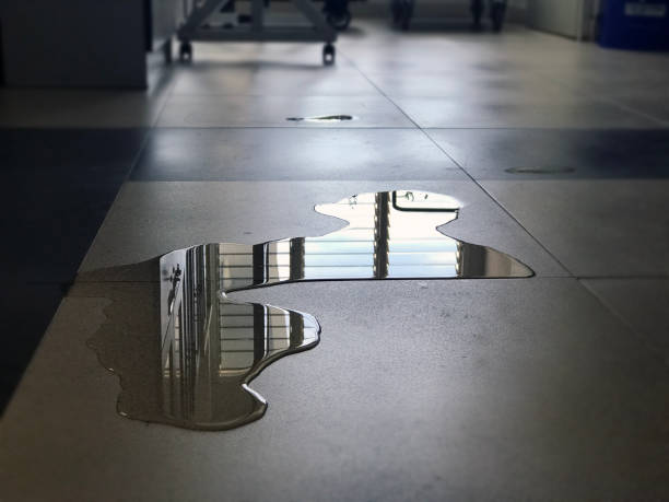 Best Professional water damage repair  in Austin, TX
