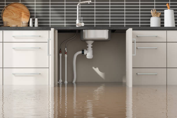 Best Water damage contractors near me  in Austin, TX