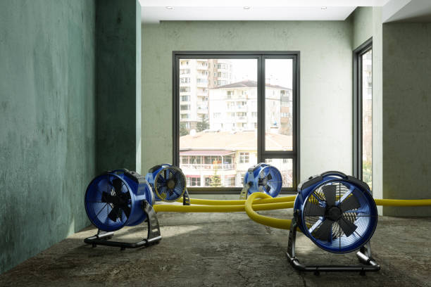 Best Water damage restoration near me  in Austin, TX